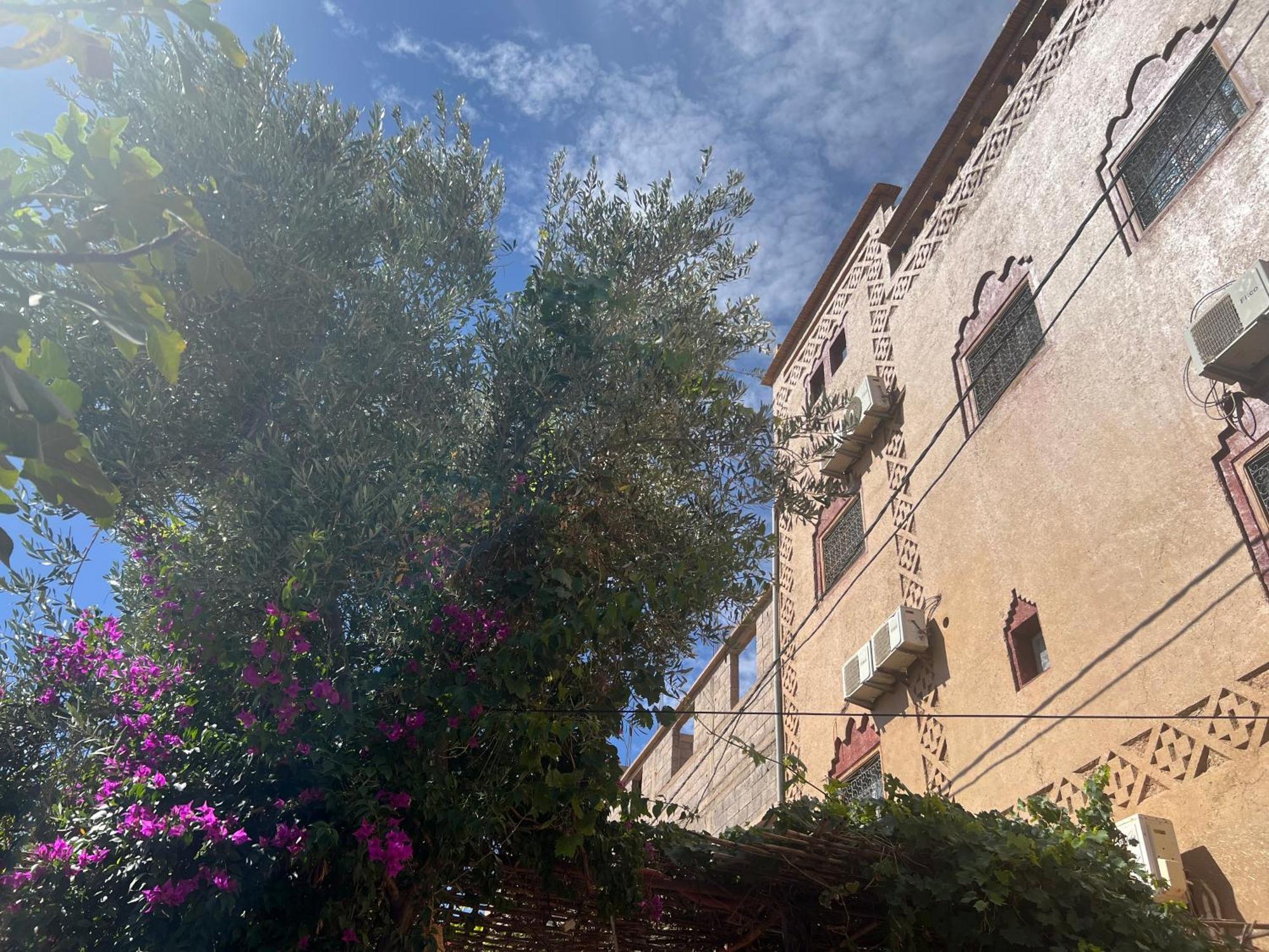 Hotel Dar Calme Chez El Bouhali à Skoura Extérieur photo